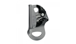 Basic Ascenders