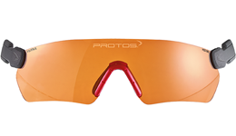 Parts Protos
