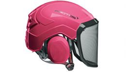 Head Protection