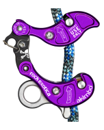 Rock Exotica Akimbo²