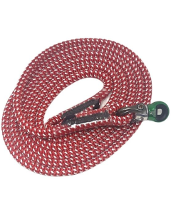 Arbsession Fantasy Lanyard with DMM Focus Swivel