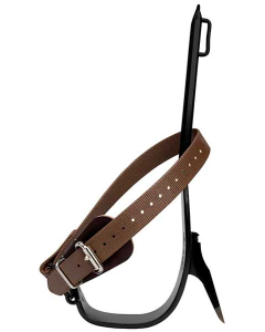 Buckingham Steel Spurs with Tree Gaffs