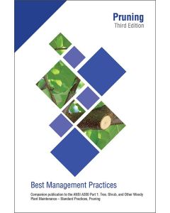 ISA BMP - Pruning