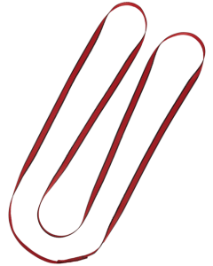 PPLSAC-BASE Courant Ellipse Webbing Sling