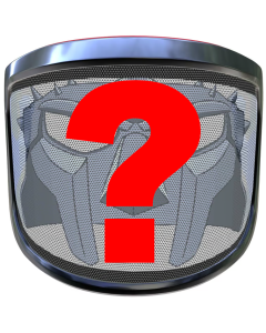 Pfanner Protos Integral Visor with Your Custom Design