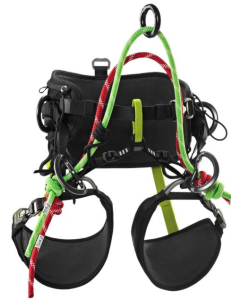 Edelrid TreeRex II Climbing Harness
