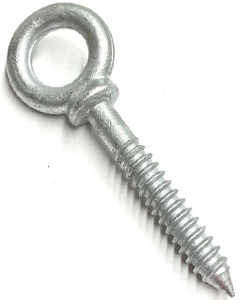 Eye Lag Screw