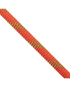 Wewoo - Chien formation Bell corde en rouge nylon de traction