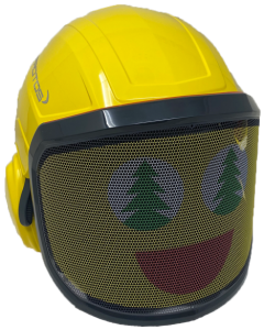 Pfanner Protos Integral Visor with Arbsession Logo